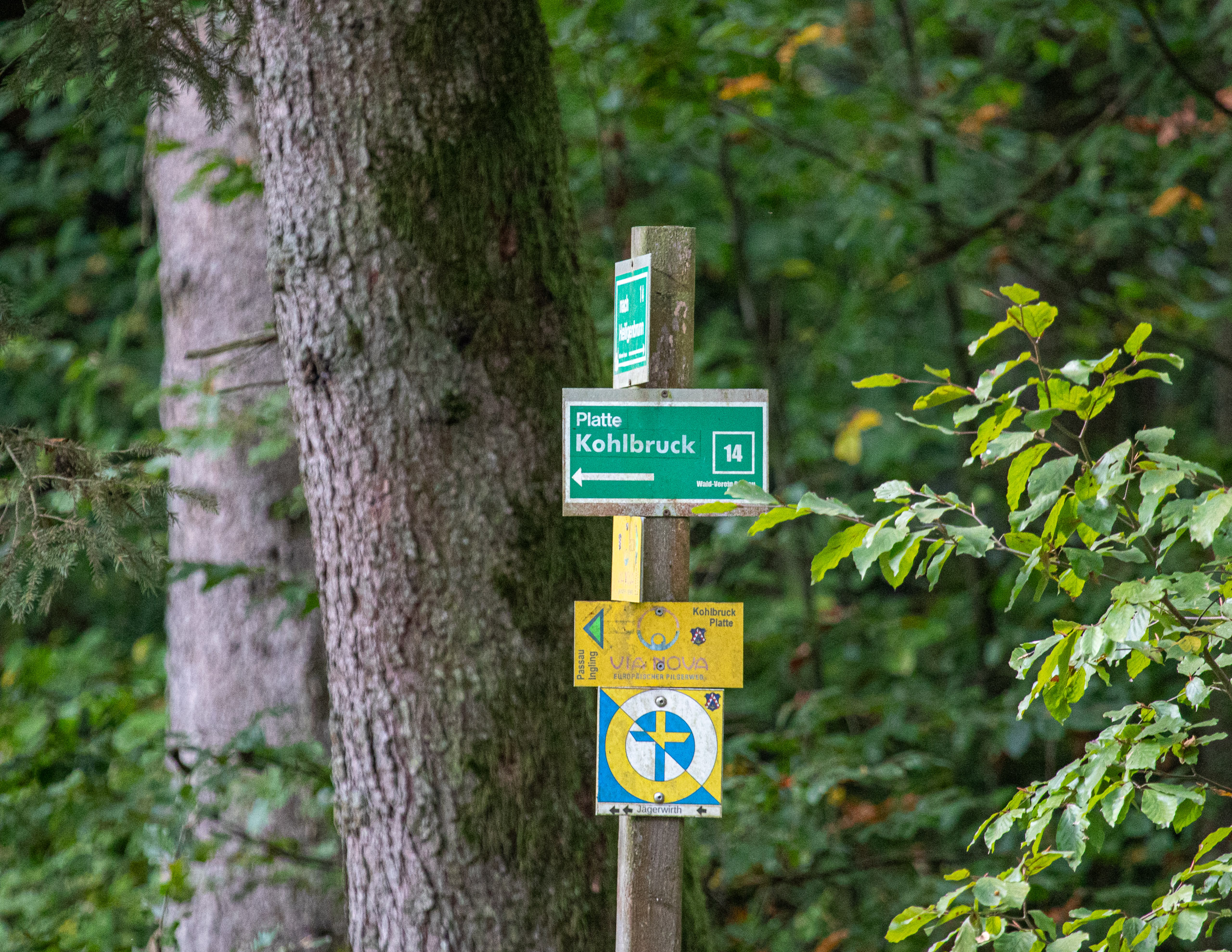 20231014103818 RD4 4706